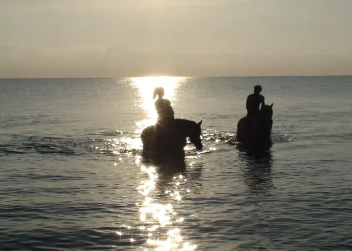 Panorama & - Adults Only 4*