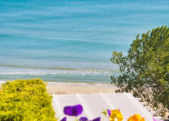 Panorama & - Adults Only 4*